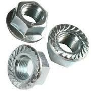 Silver Zinc Flange Nut