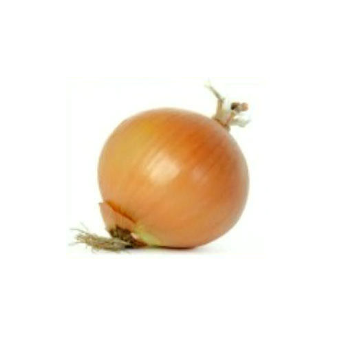 Brown Onion