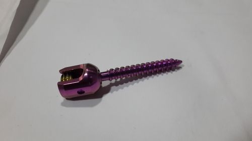 Poly Axial Screw