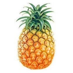 Fresh Pineapple