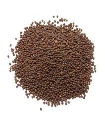 Mustard Seed