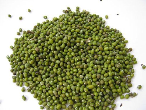 Mung Bean