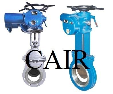 Motorized Gate Valve