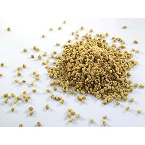 Fenugreek (Methi)