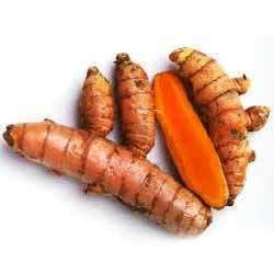 Fresh Turmeric Root