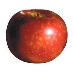 Transparent Paula Red Apple