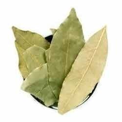 Bay Leaf