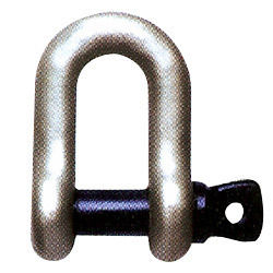 Forged D Shackle