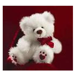 Teddy Bear - Premium Cotton & Fur, Soft Touch Design, Lightweight and Cute Finish