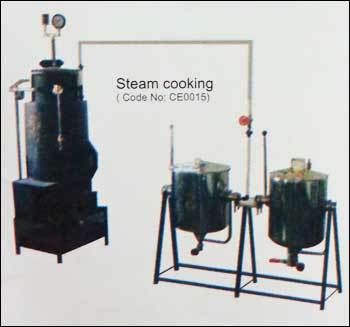 Steam Cooking