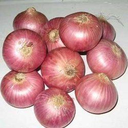 Fresh Onions