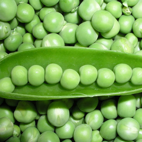 Green Peas Vatana