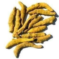 Turmeric Root