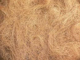 Coconut Fiber - Naturally Extracted Fiber for Ropes and Mats | Premium Quality, Versatile Usage, Eco-Friendly