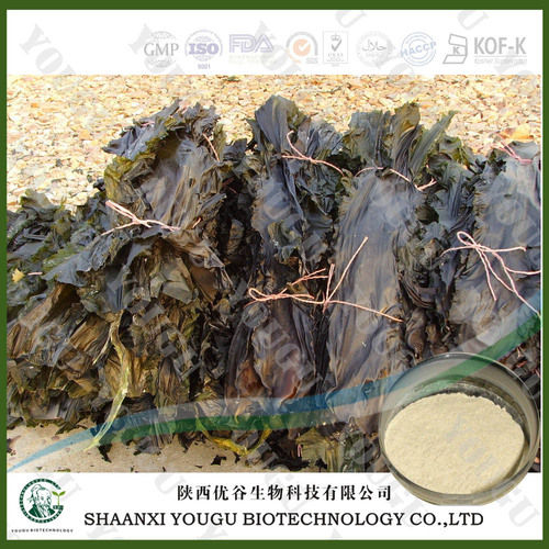 Fucoidan, Brown Seaweed Extract Fucoidan