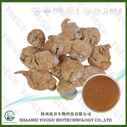 Maca Extract Extract Powder