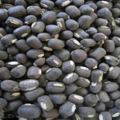 Organic Black Gram (Urad)