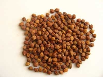 Organic Chana (Organic Bengal Gram)