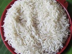 Paddy Rice