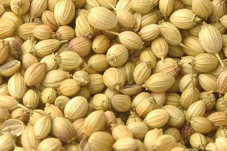 Natural Taste Whole Coriander Seeds