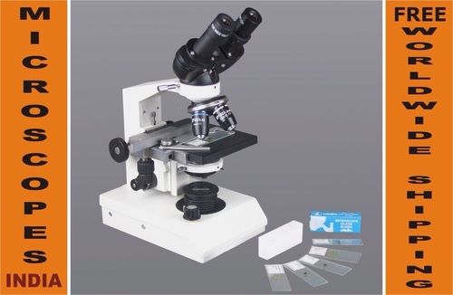 Optical Microscope