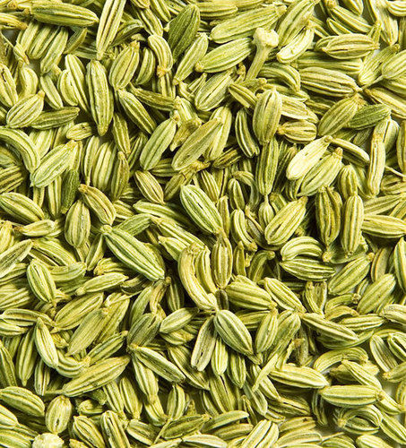 Premium Quality Natural Dried Fennel Seeds