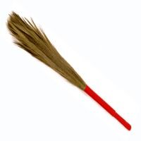 Grass Broom