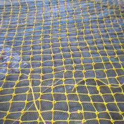 Safety Nets