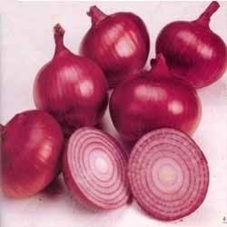 Fresh Onion