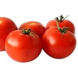 Fresh Tomato