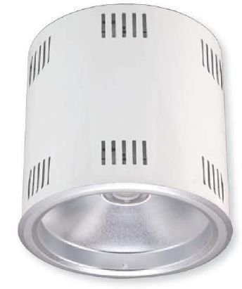 LED Ceiling Down Lights 20W