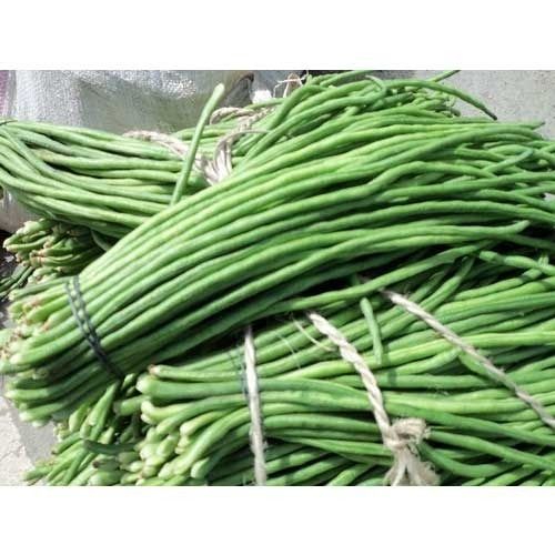 Lubia Long Beans