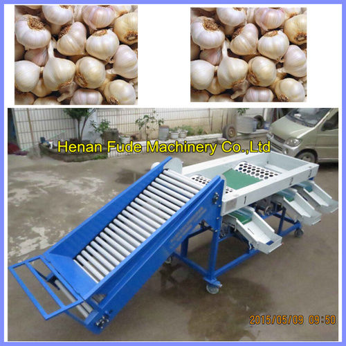 Garlic Grading Machine