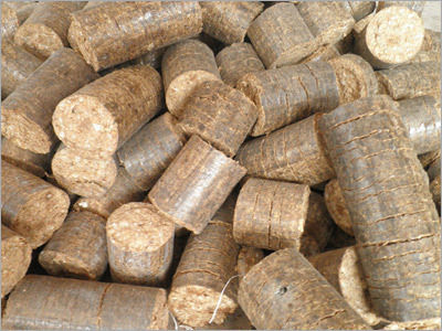 Biomass Briquette