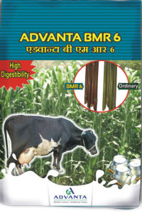 Advanta Bmr 6