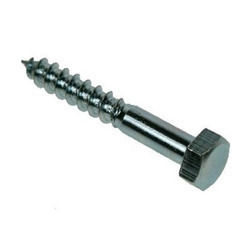 Coach Screw