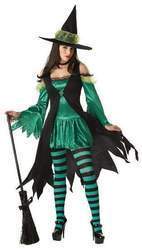 Story Book Adult Womens Costume