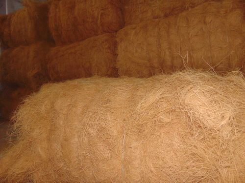 Coir Fibre