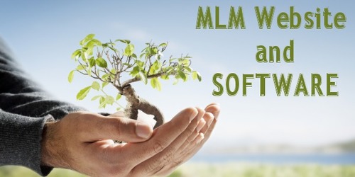 MLM Designing Service