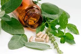 Homeopathic Medicine - Ayurvedic Healing Remedies Inspired by Ancient Vedic Texts, Holistic Health Guidance for Wellbeing