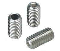 Stainless Steel Industrial Gurb Screw