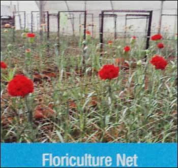 Floriculture Net