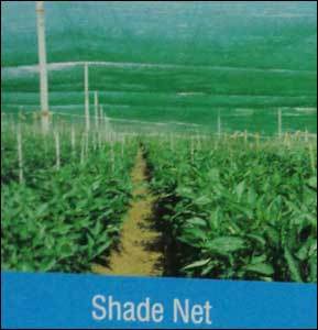 Shade Net 