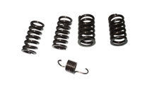 Clutch Springs