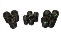 Valve Springs