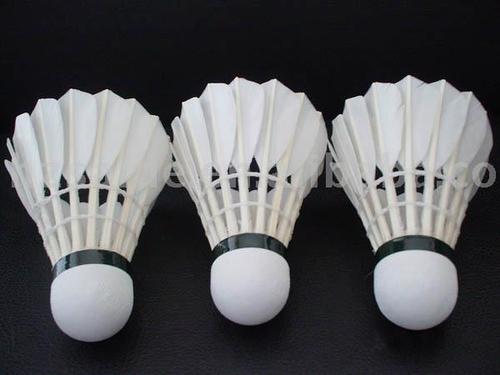 Badminton Shuttlecock