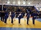 Judo Mats