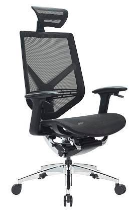 Ergonomic Mesh Office Chair