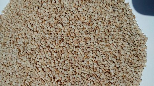 Indian White Sesame Seeds