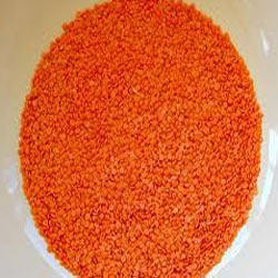 Red Lentil Pulses